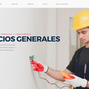 tienda virtual peru ecommerce negocio profesional web
